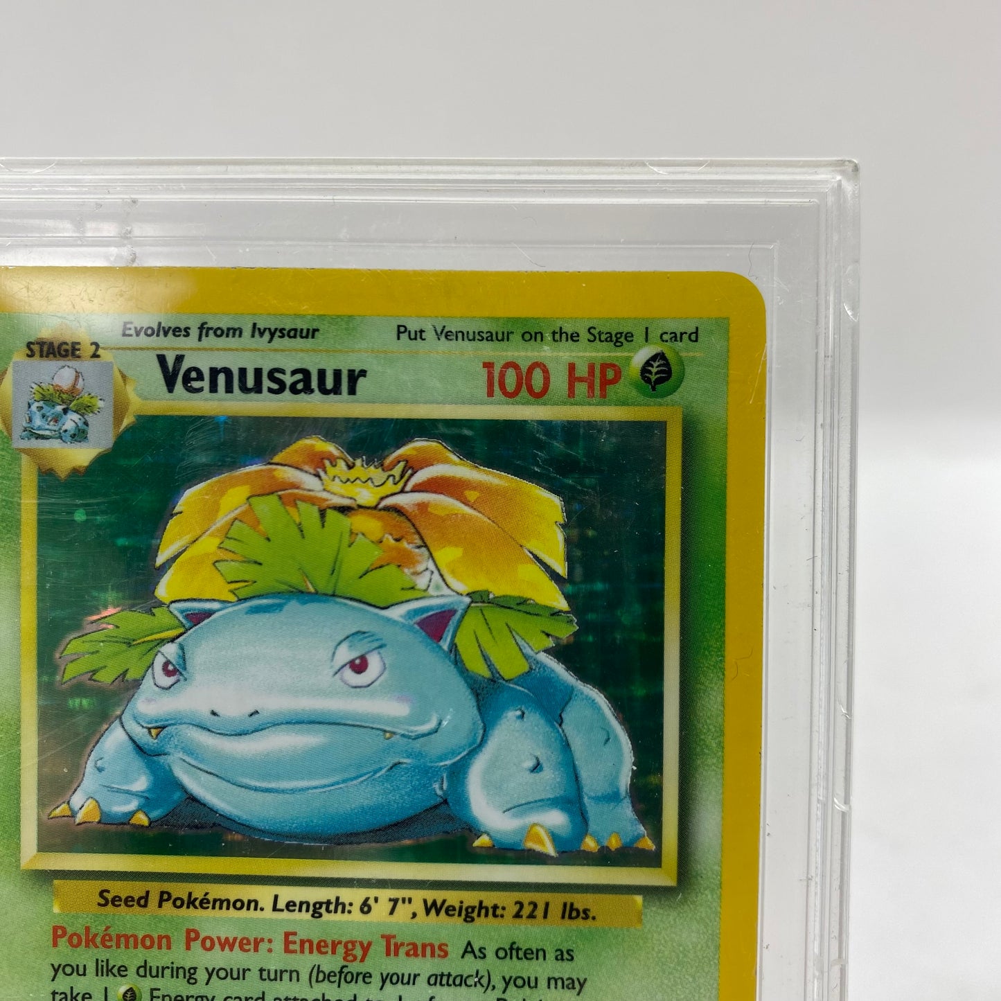 Pokémon TCG Base Set Venusaur 15/102 English