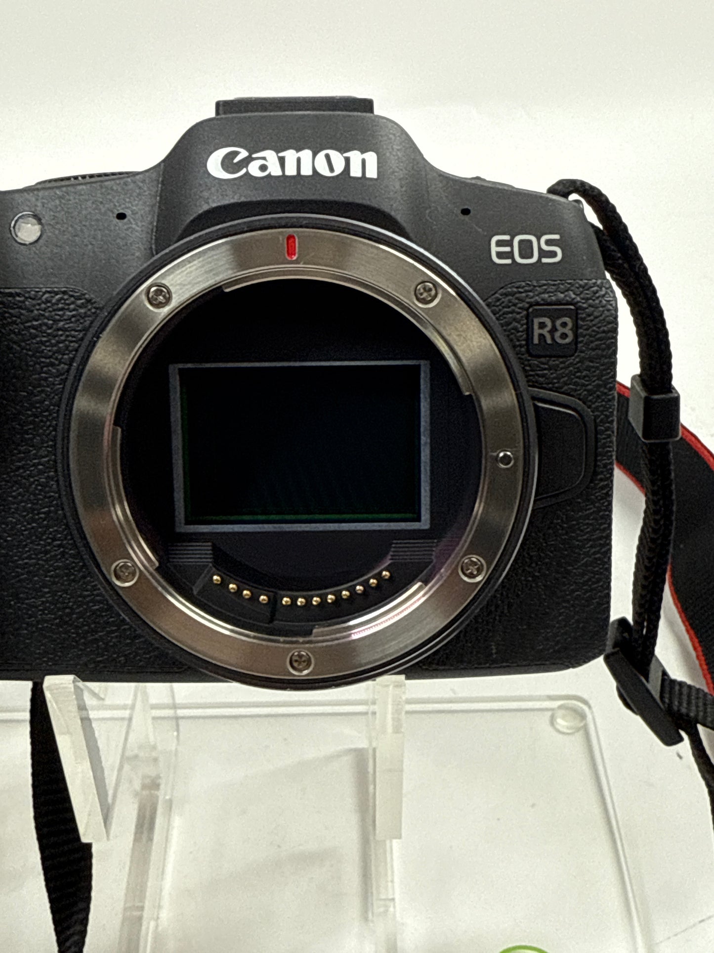 Canon EOS R8 24.2MP Full Frame Digital Camera