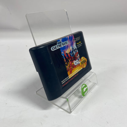 Fighting Masters (Sega Genesis, 1992)