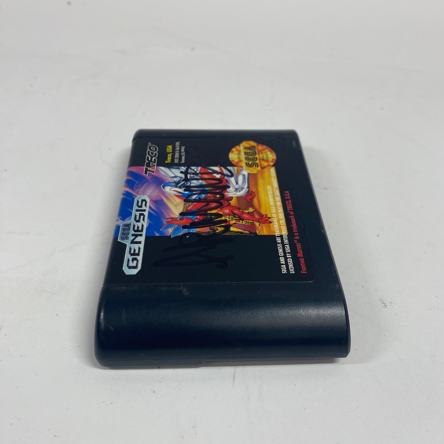 Fighting Masters (Sega Genesis, 1992)