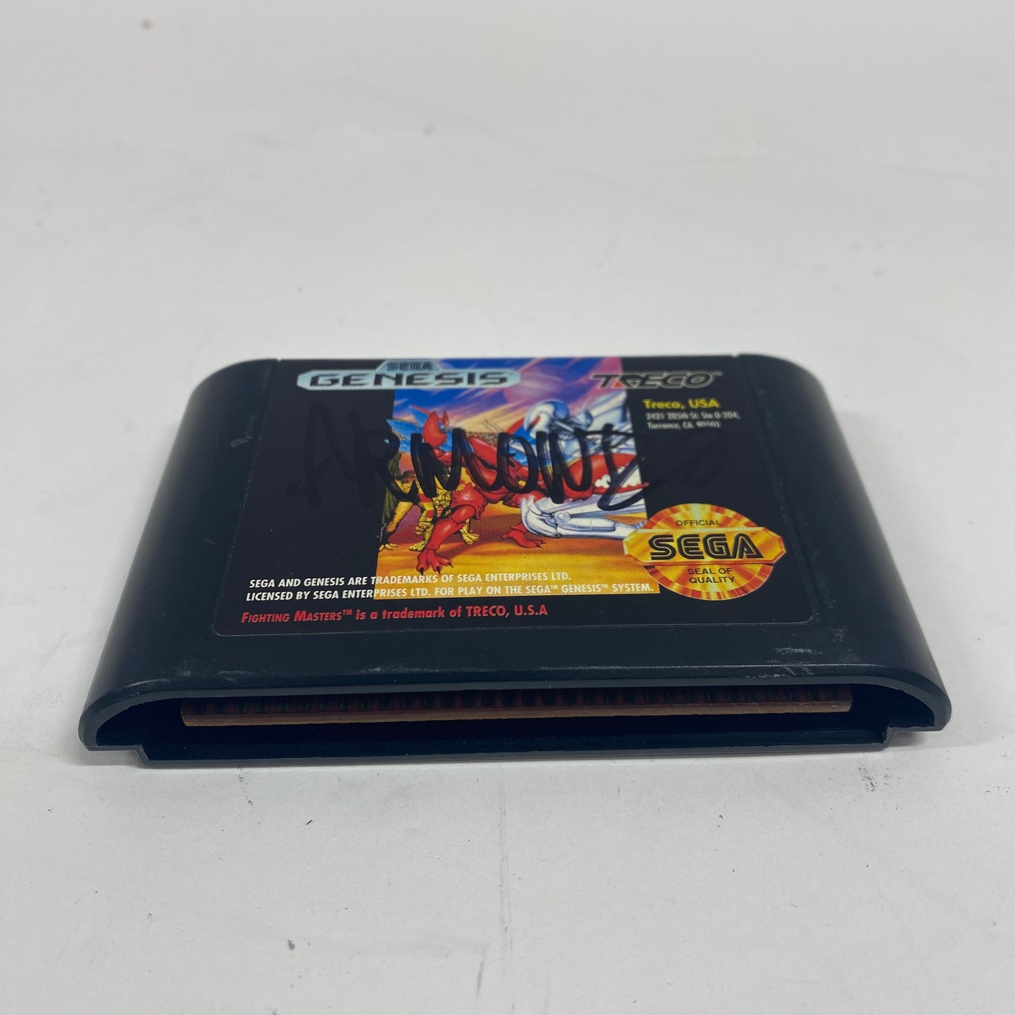 Fighting Masters (Sega Genesis, 1992)