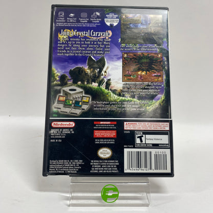 Final Fantasy Crystal Chronicles (Nintendo GameCube, 2004)