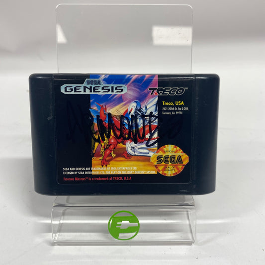 Fighting Masters (Sega Genesis, 1992)