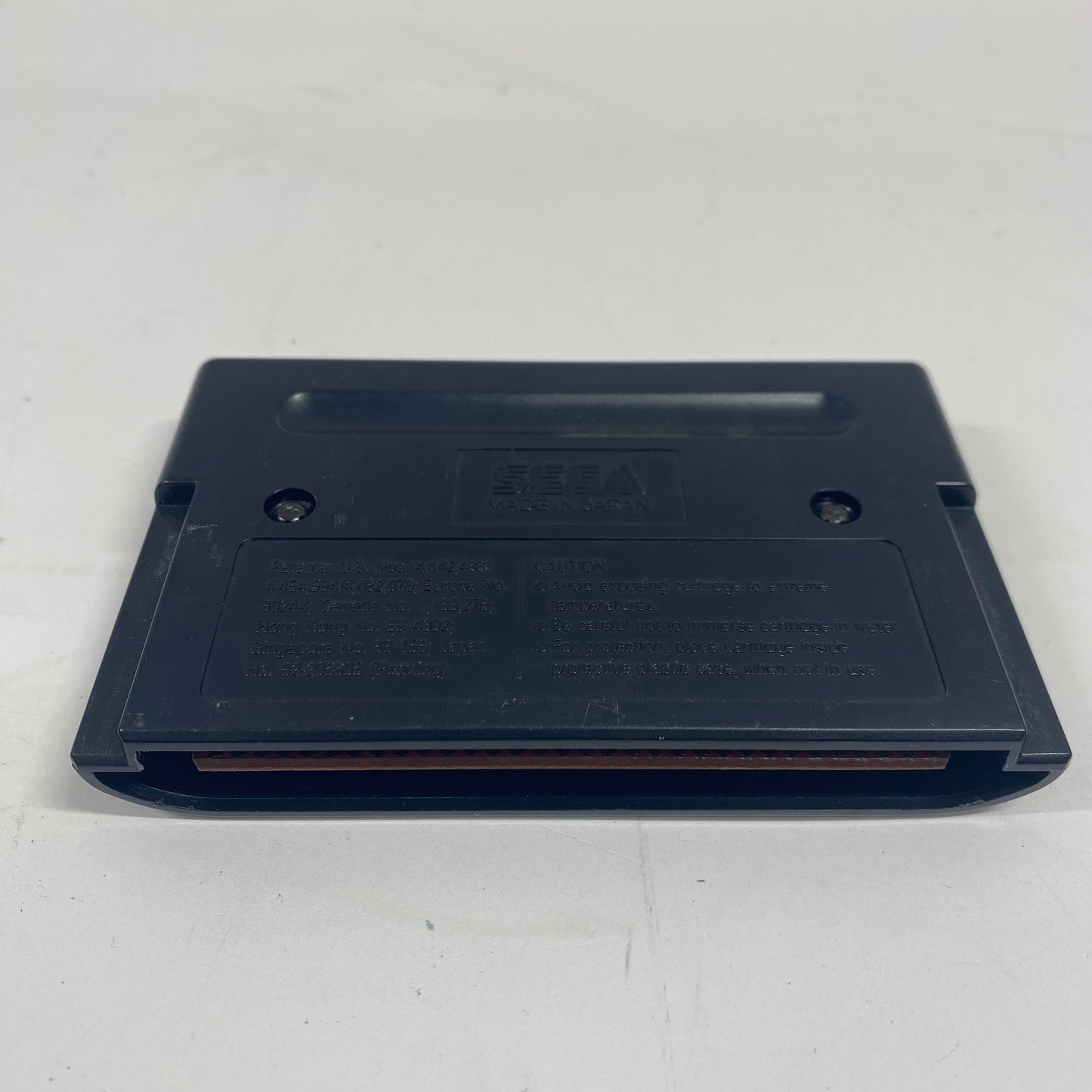 Fighting Masters (Sega Genesis, 1992)