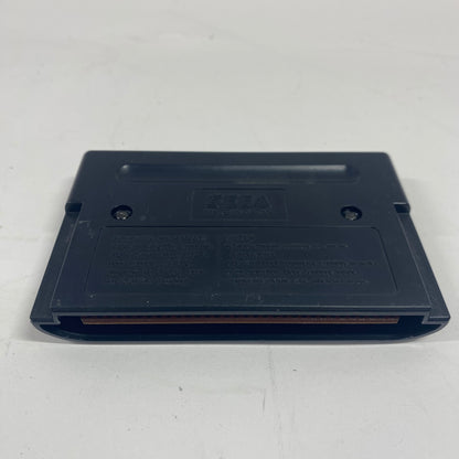 Fighting Masters (Sega Genesis, 1992)
